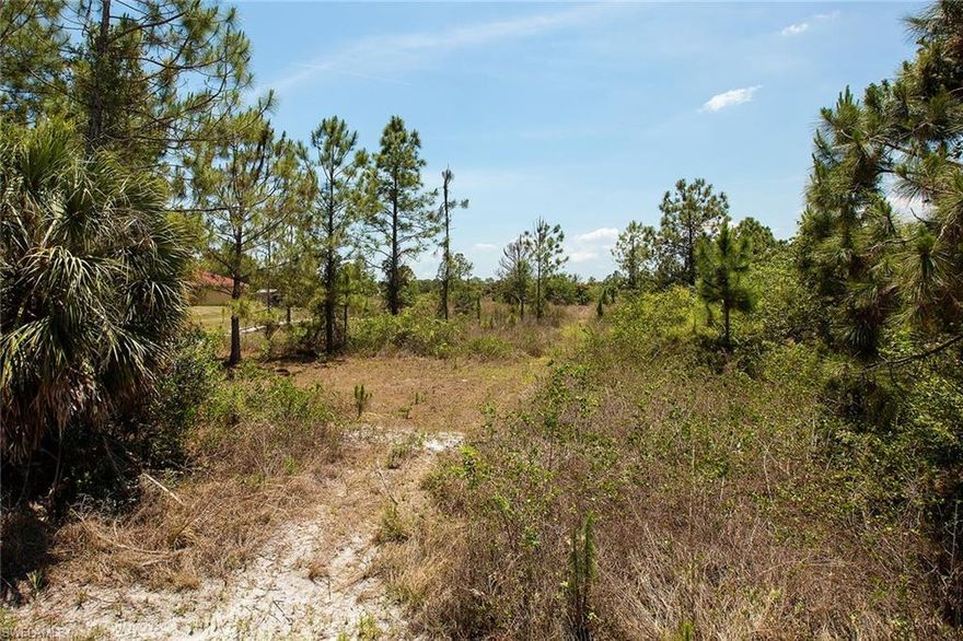 This is a great location just a short distance to Publix, shopping and schools. Build your dream home on this large, over one-acre lot.