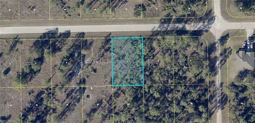 Build your new home in a growing area! This prime piece of property is conveniently located just a short drive from the newly expanded Highway SR 82, Fort Myers and Punta Gorda airport. Contact me with your offer today!