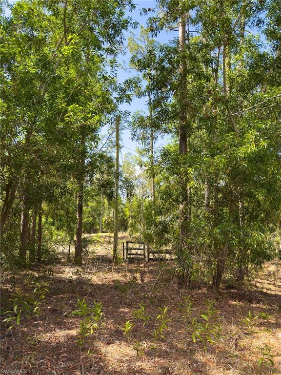 SUN COAST ACRES - Land