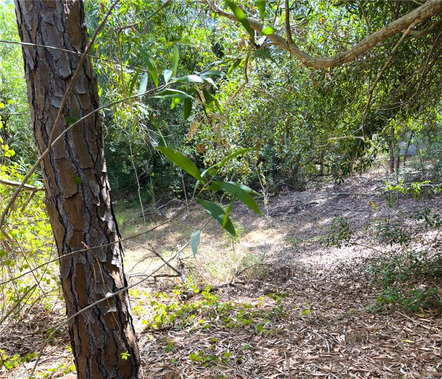 SUN COAST ACRES - Land