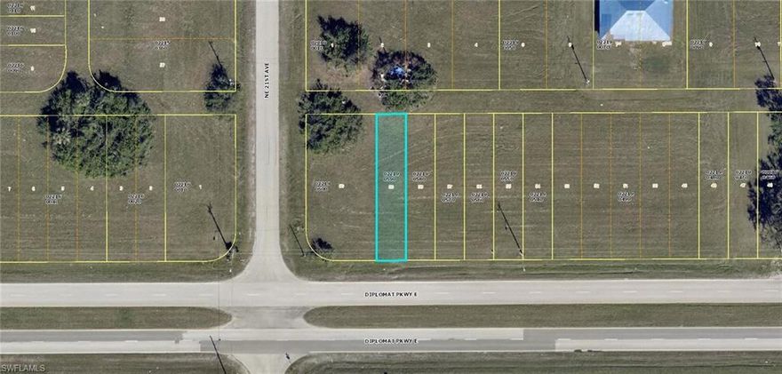 Fantastic opportunity to invest in this 25 X 125 parcel, 3,125 sq ft of PRIME COMMERCIAL frontage on Diplomat Parkway! This lot is not large enough to build on unless adding abutting properties. Not located in a FLOOD zone. Please verify with the City of Cape Coral regarding water, sewer etc. SO much projected growth in the NW Cape area this is a great opportunity to invest now for future or build your dream business.