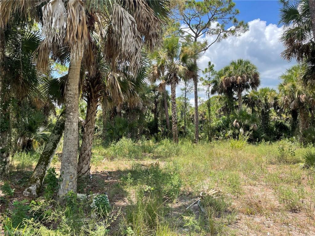 BANYAN VILLAGE - Land