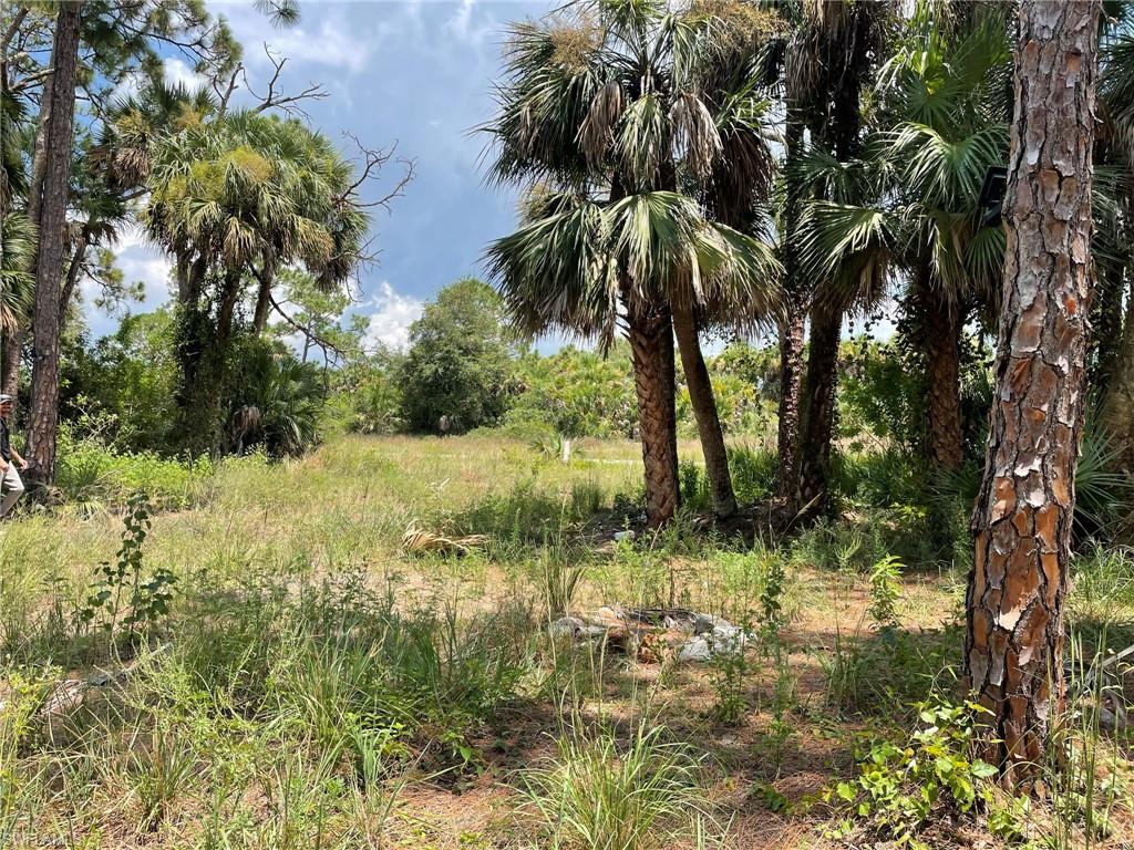 BANYAN VILLAGE - Land