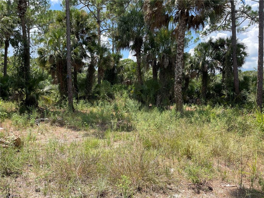 BANYAN VILLAGE - Land