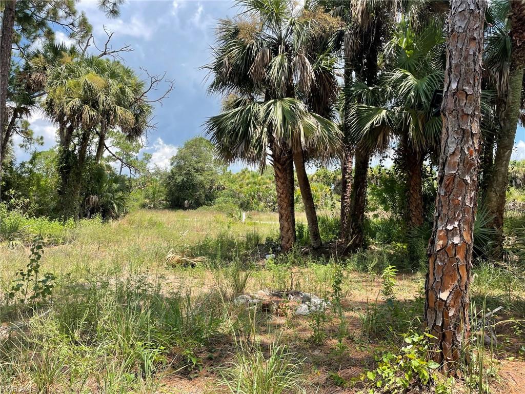 BANYAN VILLAGE - Land