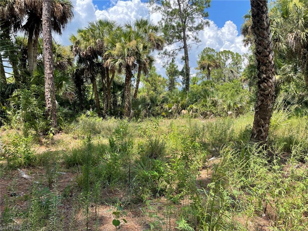 BANYAN VILLAGE - Land