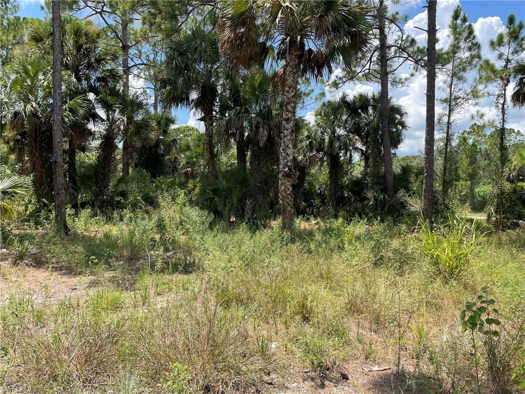 BANYAN VILLAGE - Land