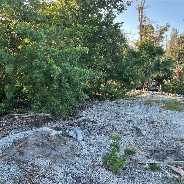 PINE ISLAND COVE - Land