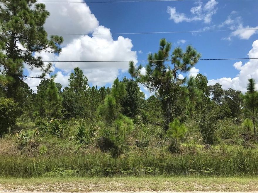 Enjoy the peaceful, country lifestyle of Golden Gate Estates, just minutes from the splendor and beautiful beaches of Naples, Florida. Build the home of your dreams on this beautiful 2.5 acre lot with many beautiful pines. Plenty of room for a guest house or stables. Zoning allows 2 horses per acre. Location convenient to the Estates Elementary School, Seminole Casino, Corkscrew Swamp Sanctuary and the new Big Corkscrew Island Regional Park. No wetland information available but looks high & dry and neighboring properties have been uplands. Adjacent 2.5 acres also available at the same price (ML #222064565).