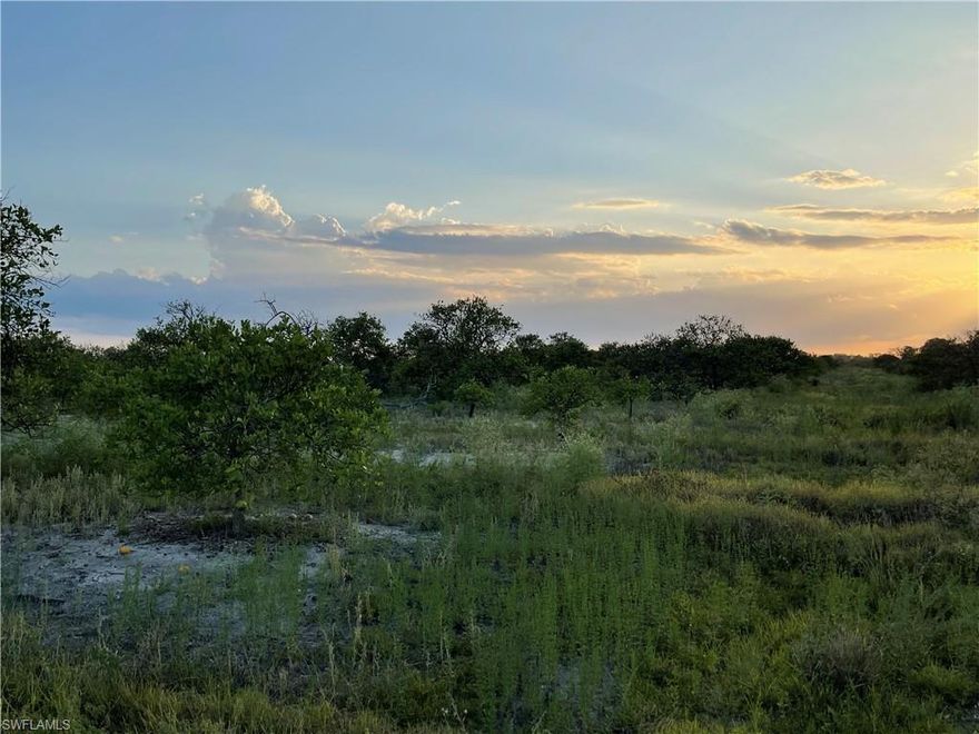 9 +/- acres of working orange grove on 7th Rd Section 1 of Gerber Groves. Quiet and secluded, this is the ideal place to have a small farm, ranch, or country estate. Many owners nearby are transitioning away from citrus and growing tropicals such as lychee, longan, mango, dragon fruit, ackee, bananas, papaya, sugarcane, and bamboo. There are also a number of farmers in the area growing row crops including watermelon, corn, squash, peppers, and okra. The possibilities are truly endless! Canal on south side of the property can be used for irrigation. Property is in the Gerber Water District and subject to the Water District tax which is collected by the Hendry County Tax Collector and used to maintain the roads, canals, and employ security. The roads are private and customers must be accompanied by their realtor to avoid expulsion by security. 18 acre property just east of this parcel is also for sale, as well as 74 +/- acres adjoining this to the west, offering the opportunity to own over 100 acres in one of the most private areas of Gerber!