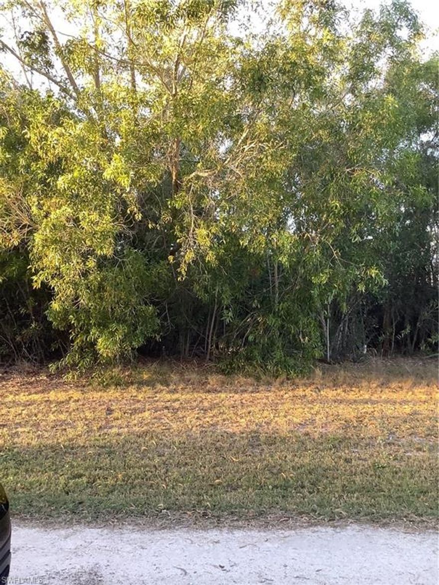 Build your Home today and Start enjoying the Island Life. Close to Local Marinas, Alden Pines Golf, Restaurants, walking paths and More.