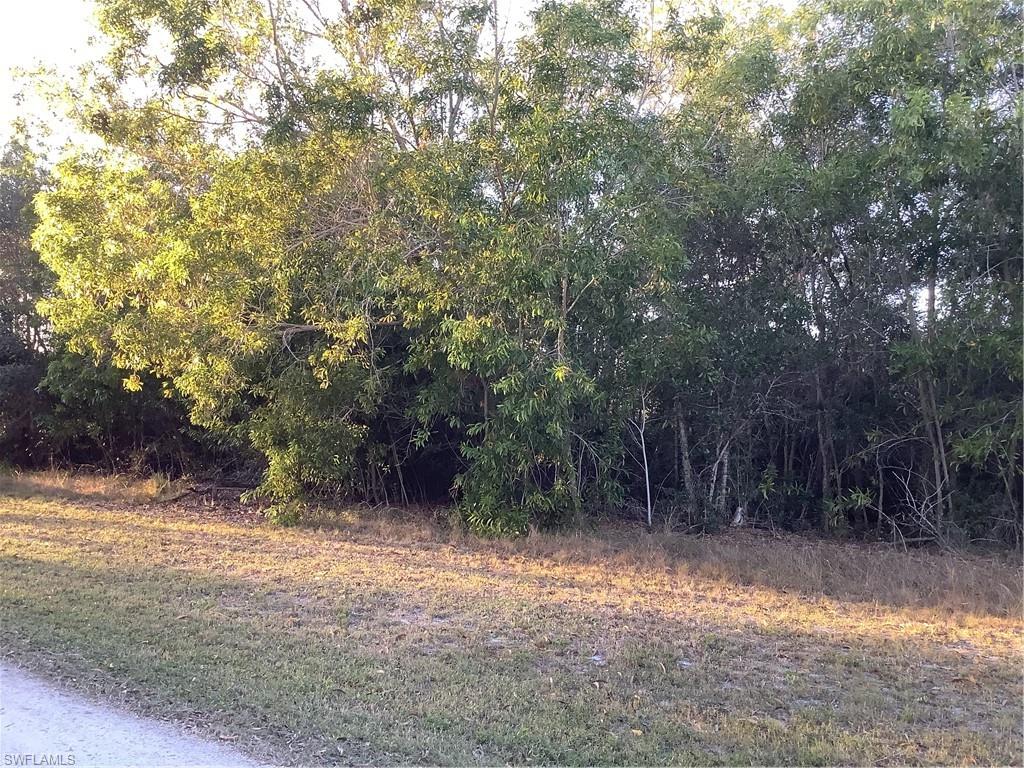 KREAMERS AVOCADO SUBD - Land