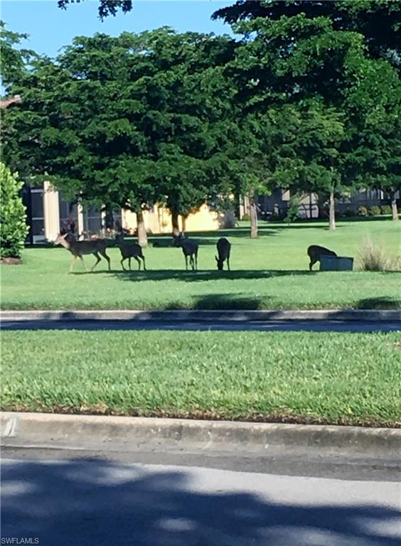 BELLA TERRA - Residential