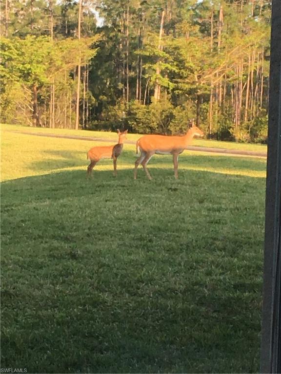 BELLA TERRA - Residential