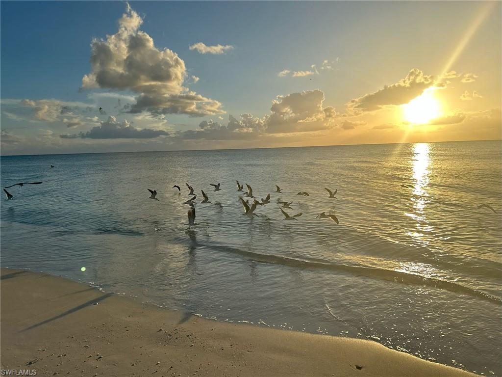 15 Bluebill AVE 1105