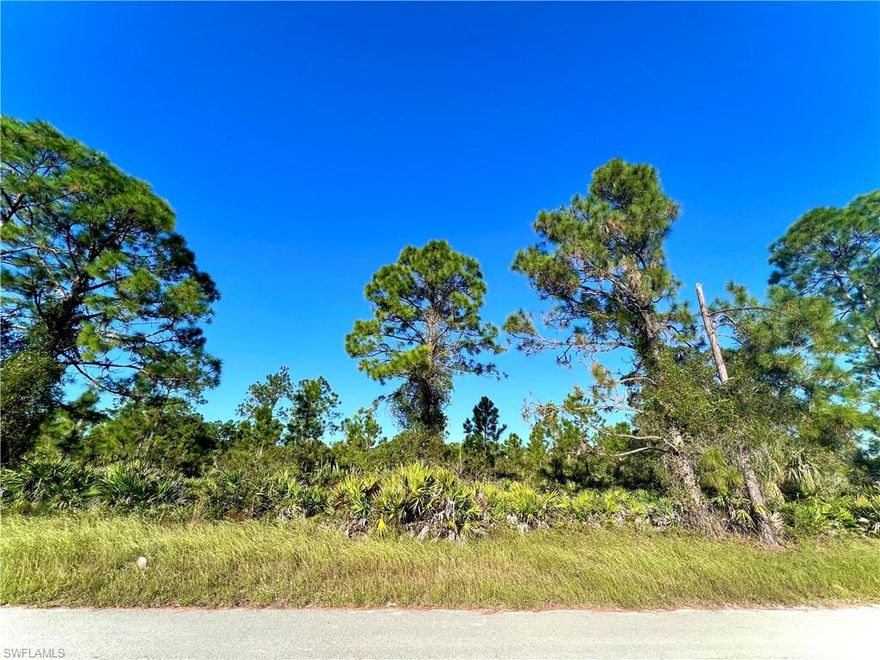 GREAT LOCATION on a quiet paved street just minutes from major amenities and a quick commute To Fort Myers! The lot next door 314 Bradley ave is also for sale to potentially strap together for an oversized HALF ACRE or BUILD SIDE BY SIDE!! Come build your DREAM HOME or INVEST in this growing community today!!