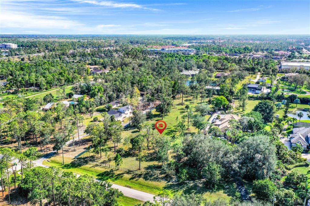 LIVINGSTON WOODS - Land