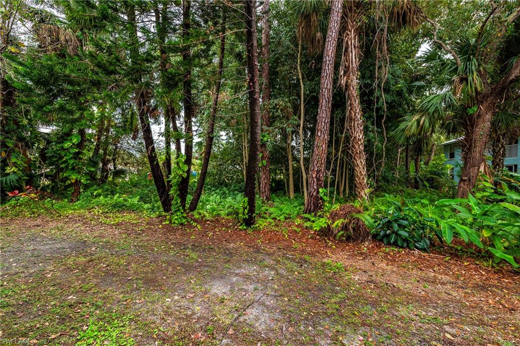 PINE HAVEN CONDO - Residential