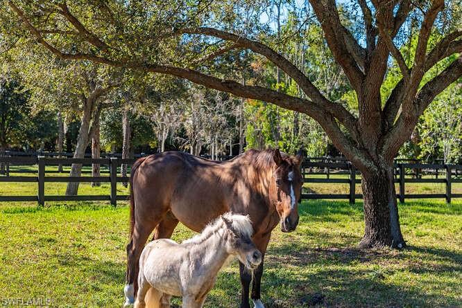 LIVINGSTON WOODS - Residential