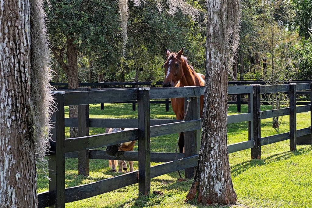 LIVINGSTON WOODS - Residential