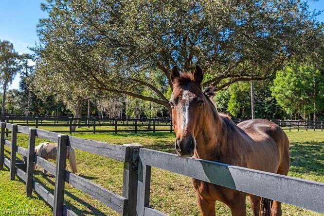 LIVINGSTON WOODS - Residential