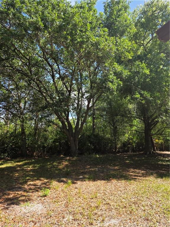 NORTH FORT MYERS - Residential