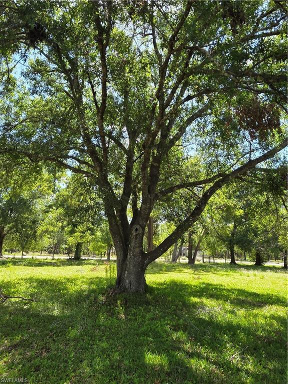 NORTH FORT MYERS - Residential