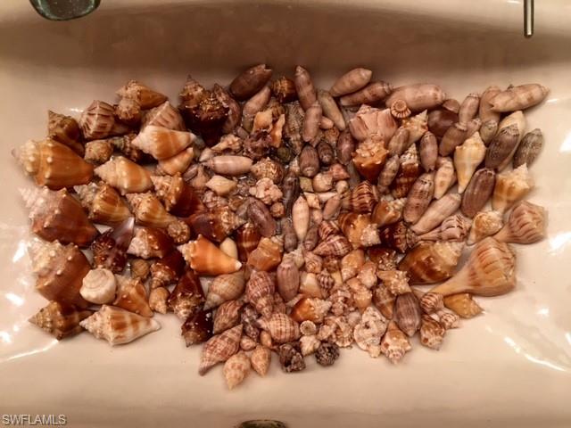 SANIBEL MOORINGS CONDO - Residential