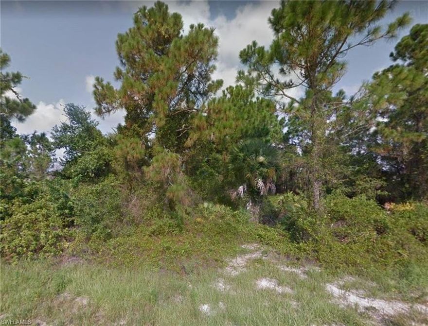 BACK ON THE MARKET! Live in a serene setting less than 30 mins to Southwest Florida International Airport and downtown Fort Myers. Ideally located nearby to State Road 82 with quick access to I-75 or Immokalee. Build now or save for a future investment!