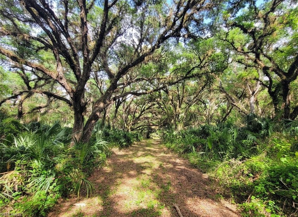 LABELLE - Residential