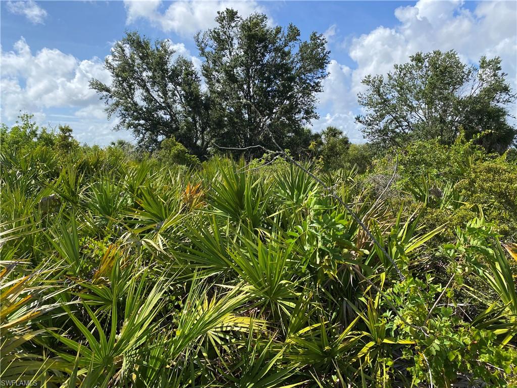 ROTONDA LAKES - Land