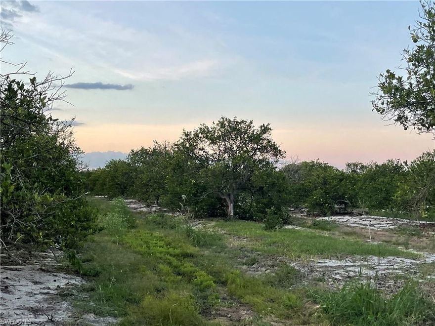 40 +/- Acres of older orange grove..There are a variety of possibilities for this property, including transitioning to a farm, ranch, or country homestead. Lots of tropicals being grown in the area....mangos, lychees, longans, bananas, papayas, dragon fruit, passion fruit and even bamboo. Canal on north side of the property can be used for irrigation. Property is in the Gerber Water District and subject to the Water District tax which is collected by the Hendry County Tax Collector and is used to maintain the roads, canals, and employ security.