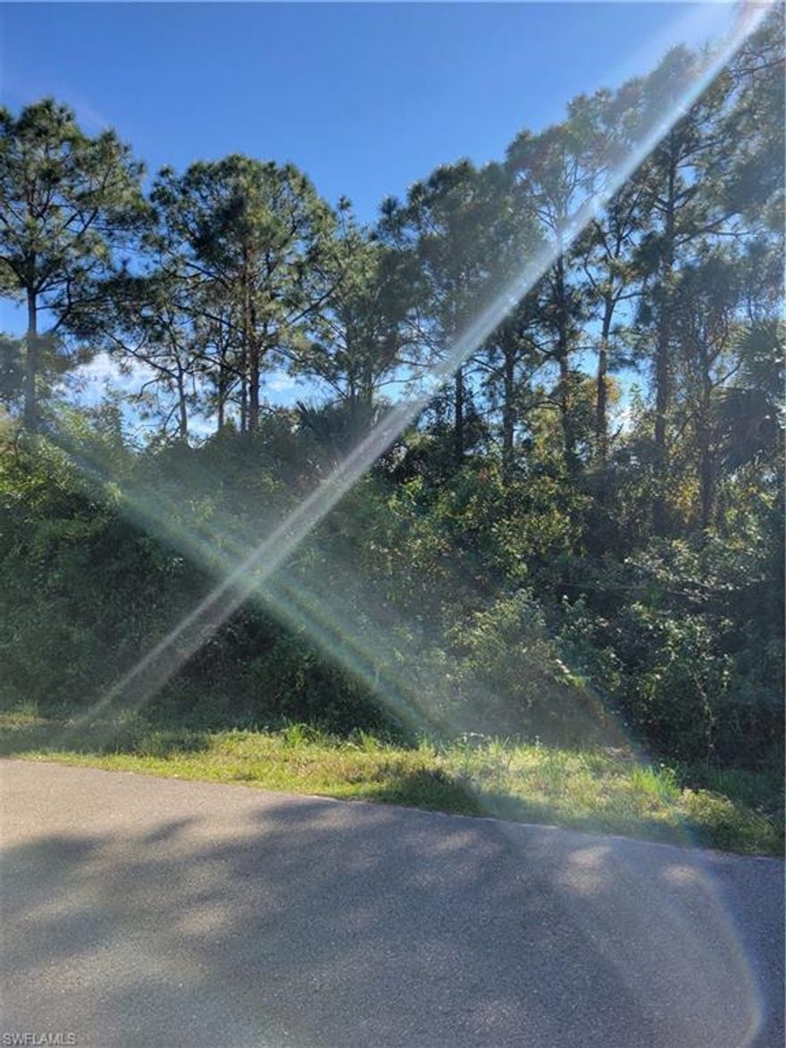 .25 Lot available for sale, many new construction homes around that area. Good location!! nearby 82 HWY. Lot next to it 446 Reading is also available for sale. Majestic Golf club is nearby.