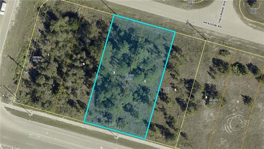 0.41-acre vacant lot in Lehigh Acres offers a prime opportunity for your next investment or custom build. The property is situated in an area with exciting future growth, sitting just a short distance from State Road 82 for easy commuting toward Fort Myers and Immokalee. This lot provides plenty of space for a large residential footprint or potentially holding for future development in a rapidly expanding neighborhood. Whether you are a builder looking for your next project or an individual searching for the perfect spot to call home, this property offers the space and location to make it happen.