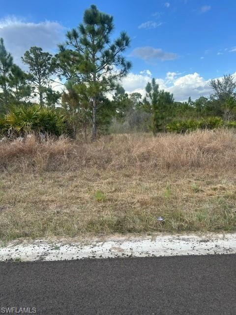 ISLAND OF HAPPINESS - Land