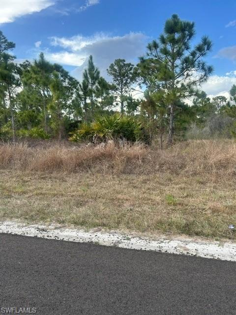 ISLAND OF HAPPINESS - Land