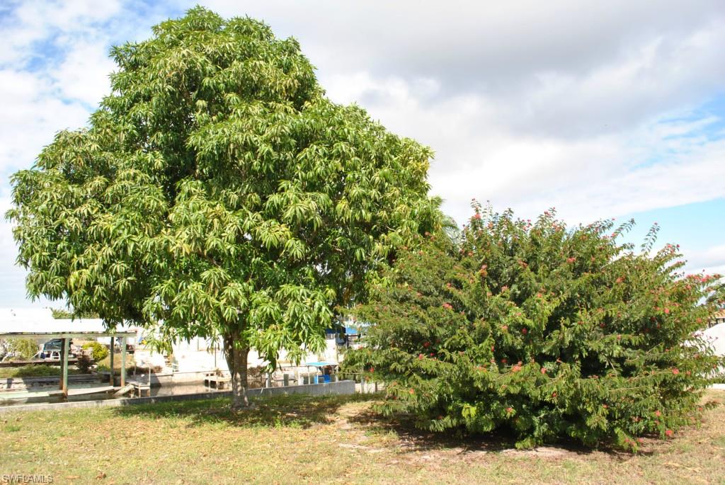 Flamingo Bay - Residential