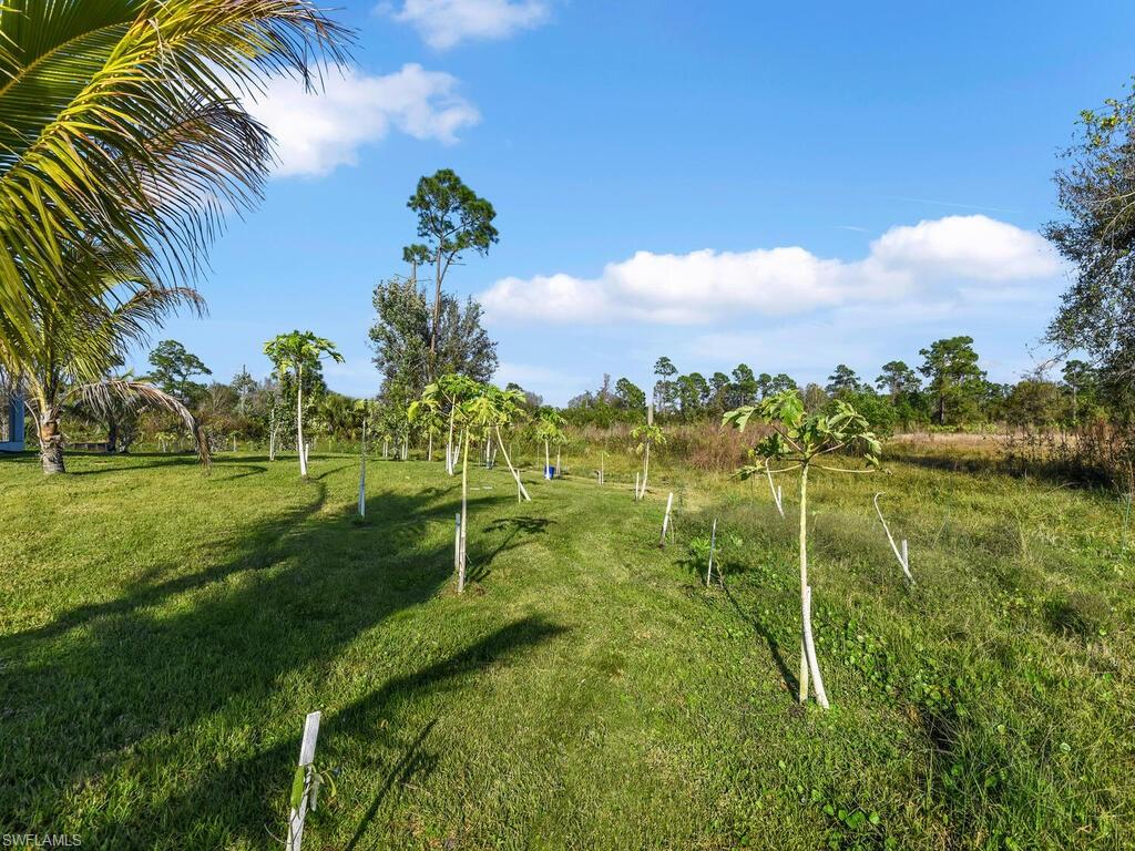 BUCKINGHAM - Residential