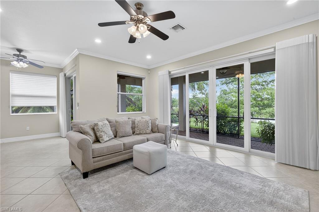 10111 Mimosa Silk DR