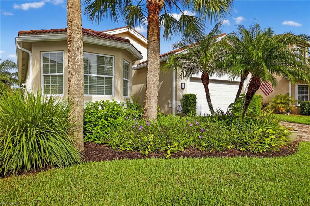 10111 Mimosa Silk DR