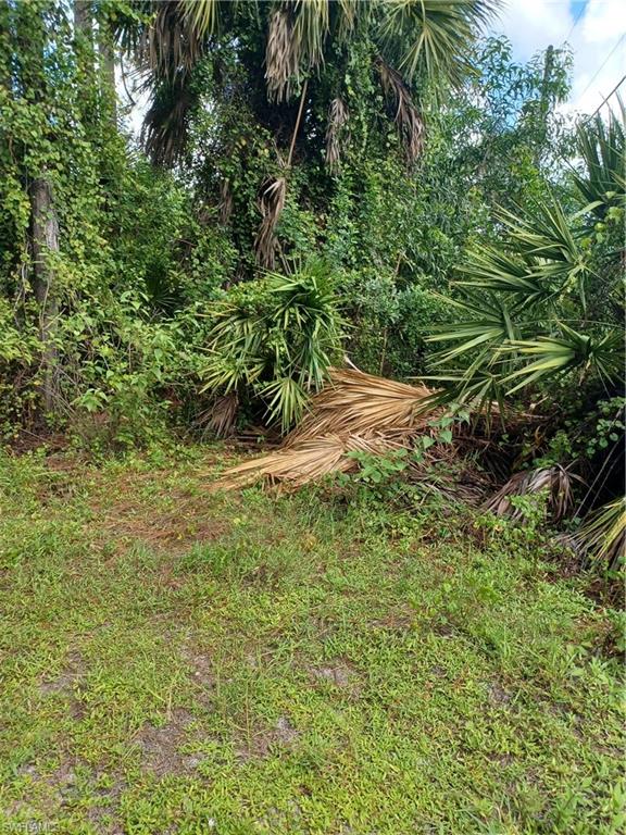 NAPLES FARM SITES - Land