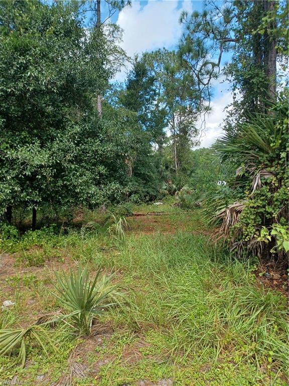 NAPLES FARM SITES - Land