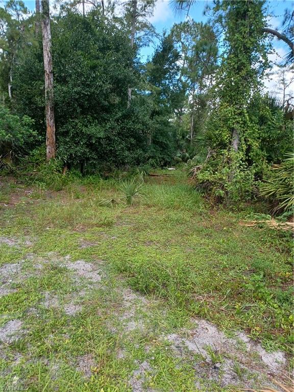 NAPLES FARM SITES - Land