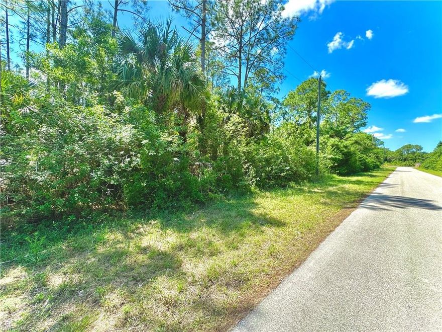 GREAT LOCATION in the highly desirable west side on a quiet PAVED street with utilities available just minutes from major amenities and a quick commute To Fort Myers! Come build your DREAM HOME or INVEST in this growing community today!!