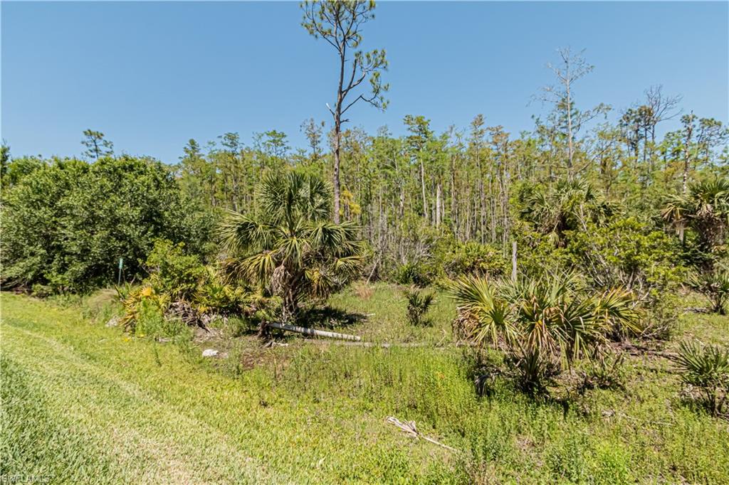 BOTANICA LAKES - Residential