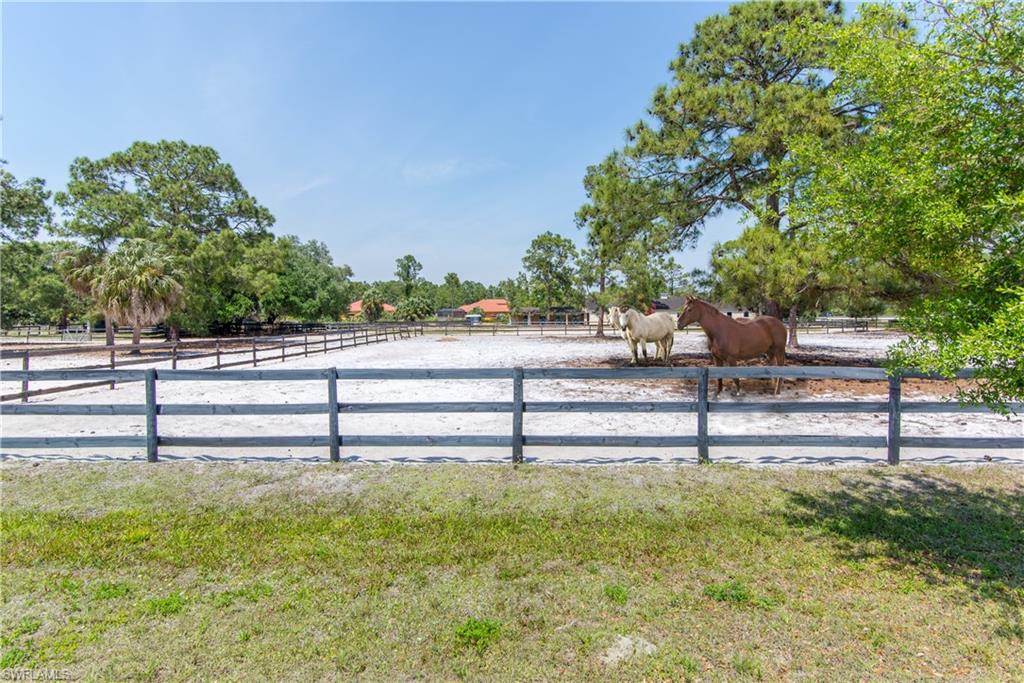 GOLDEN GATE ESTATES - Land