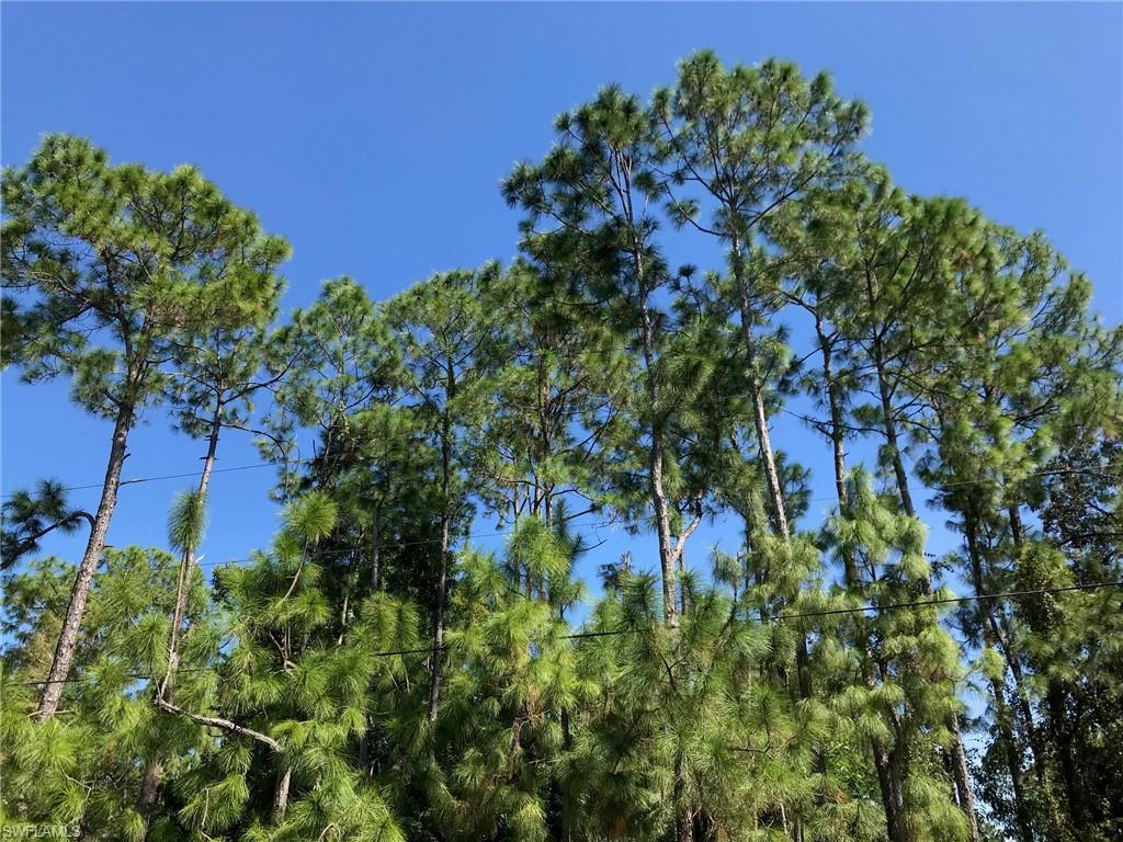 GOLDEN GATE ESTATES - Land