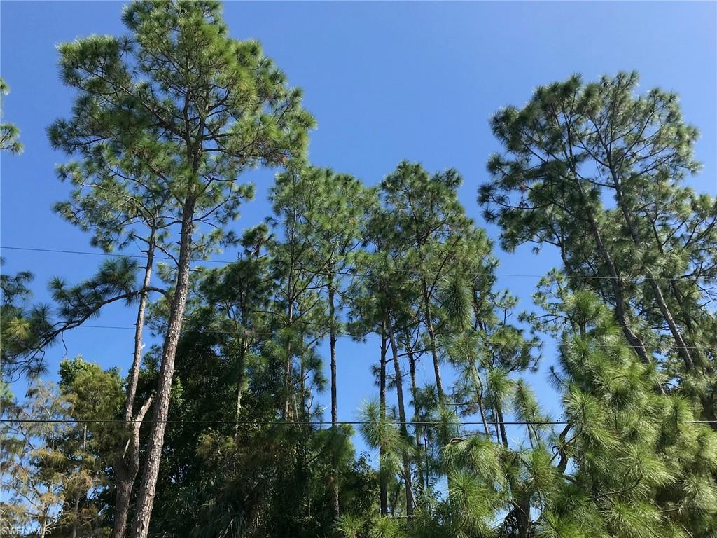 GOLDEN GATE ESTATES - Land