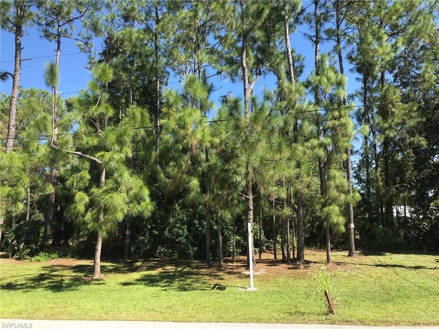 Uplands 100% per the DEP Wetland Determination attached. Enjoy the peaceful, country lifestyle of Golden Gate Estates, just minutes from the splendor and beautiful beaches of Naples, Florida. Build the home of your dreams on this wonderful 1.14 acre lot. Beautiful property with lots of nice pines. Great close-in location just a short drive to shopping and the new Paradise Coast Sports Complex.