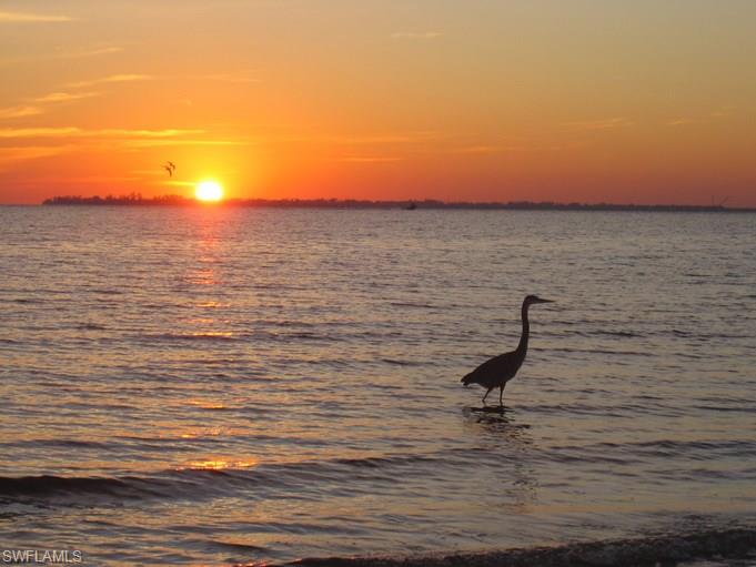 CRECIENTE - Residential